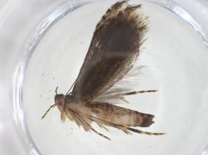  ( - CBG-A20144-F04)  @11 [ ] CreativeCommons - Attribution Share - Alike (2023) Centre for Biodiversity Genomics Centre for Biodiversity Genomics