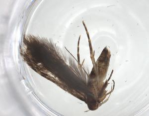  ( - CBG-A20144-G12)  @11 [ ] CreativeCommons - Attribution Share - Alike (2023) Centre for Biodiversity Genomics Centre for Biodiversity Genomics