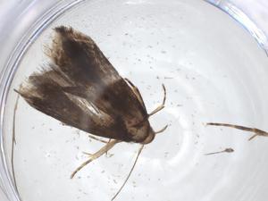  ( - CBG-A20273-H05)  @11 [ ] CreativeCommons - Attribution Share - Alike (2023) Centre for Biodiversity Genomics Centre for Biodiversity Genomics