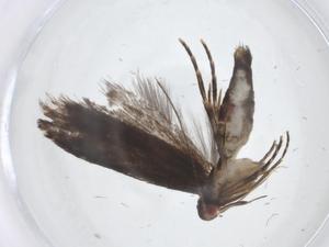  ( - CBG-A21344-A04)  @11 [ ] CreativeCommons - Attribution Share - Alike (2023) Centre for Biodiversity Genomics Centre for Biodiversity Genomics