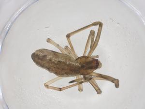  ( - CBG-B03859-D04)  @11 [ ] CreativeCommons - Attribution Share - Alike (2025) Centre for Biodiversity Genomics Centre for Biodiversity Genomics