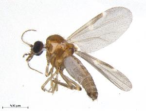  ( - FAP3ST-DAB02-026)  @11 [ ] CreativeCommons - Attribution Share-Alike (2019) University of Guelph, Hanner Laboratory My Institution