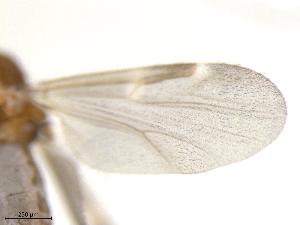  ( - FAP3ST-DAB02-026)  @11 [ ] CreativeCommons - Attribution Share-Alike (2019) University of Guelph, Hanner Laboratory My Institution