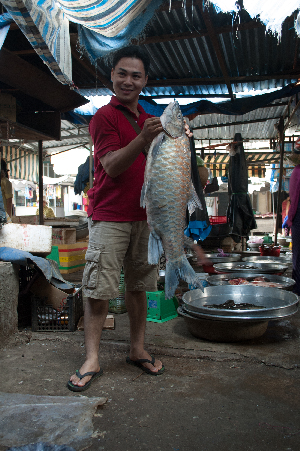  ( - 160416-T1)  @11 [ ] CreativeCommons - Attribution Non-Commercial Share-Alike (2016) Huy Duc Hoang University of Science Ho Chi Minh