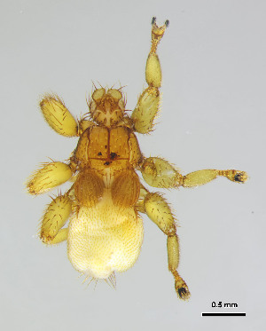  ( - DI-31)  @11 [ ] CreativeCommons - Attribution (2025) Unspecified Universidade Federal de Minas Gerais