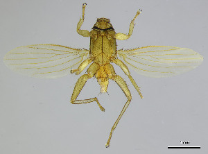  ( - DI-019)  @11 [ ] CreativeCommons - Attribution Non-Commercial Share-Alike  Unspecified Universidade Federal de Minas Gerais
