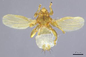  ( - DI-23)  @11 [ ] CreativeCommons - Attribution Non-Commercial Share-Alike  Unspecified Universidade Federal de Minas Gerais