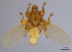  ( - DI-22)  @11 [ ] CreativeCommons - Attribution Non-Commercial Share-Alike  Unspecified Universidade Federal de Minas Gerais