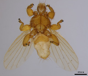  ( - DI-22)  @11 [ ] CreativeCommons - Attribution Non-Commercial Share-Alike  Unspecified Universidade Federal de Minas Gerais