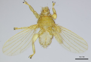  ( - DI-34)  @11 [ ] CreativeCommons - Attribution Non-Commercial Share-Alike  Unspecified Universidade Federal de Minas Gerais