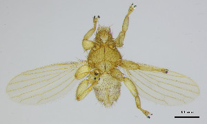  ( - DI-34)  @11 [ ] CreativeCommons - Attribution Non-Commercial Share-Alike  Unspecified Universidade Federal de Minas Gerais