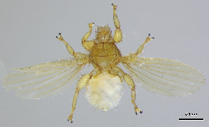  ( - DI-21)  @11 [ ] CreativeCommons - Attribution Non-Commercial Share-Alike  Unspecified Universidade Federal de Minas Gerais