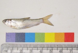  ( - NF434)  @13 [ ] Unspecified (default): All Rights Reserved  Unspecified Unspecified