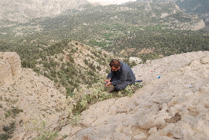  ( - Ziarat 30)  @11 [ ] Unspecified (default): All Rights Reserved (2019) Shazia Irfan BUITEMS