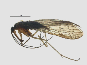  ( - BIORTP-030_D07)  @13 [ ] CreativeCommons - Attribution (2017) Unspecified Centre for Biodiversity Genomics