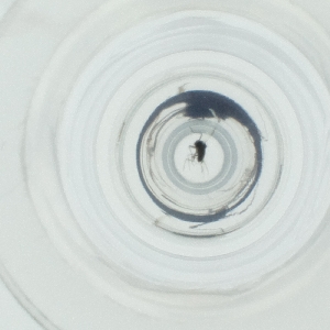  ( - DCTC_008_C5)  @11 [ ] by  Genome Research Ltd as Wellcome Sanger Institute Genome Research Limited operating as Wellcome Sanger Institute