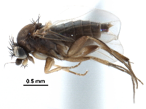  ( - BIOUG28751-G02)  @11 [ ] CreativeCommons - Attribution (2016) CBG Photography Group Centre for Biodiversity Genomics