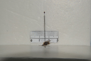  ( - BJYQ2021034)  @11 [ ] Unspecified (default): All Rights Reserved  Unspecified Unspecified