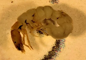  ( - SSI-Yuba-44347-F10)  @11 [ ] Unspecified (default): All Rights Reserved  Unspecified Unspecified