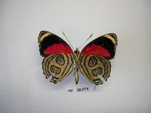  ( - DZ 20.074)  @13 [ ] Unspecified (default): All Rights Reserved  Unspecified Unspecified