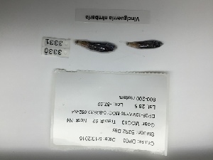  ( - DPND 3331)  @11 [ ] CreativeCommons  Attribution (by) (2023) Tracey Sutton Nova Southeastern University