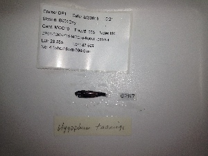  ( - RIE 0267)  @11 [ ] Copyright (2015) Ron Eytan Texas A&M University at Galveston