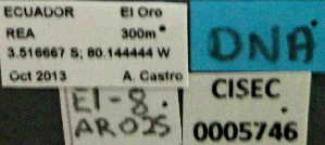  ( - BCAR025)  @11 [ ] CreativeCommons - Attribution (2015) David Donoso UTPL