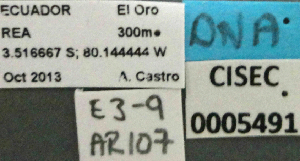  ( - BCAR107)  @11 [ ] CreativeCommons - Attribution (2015) David Donoso UTPL