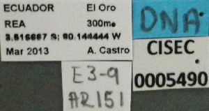  ( - BCAR151)  @11 [ ] CreativeCommons - Attribution (2015) David Donoso UTPL