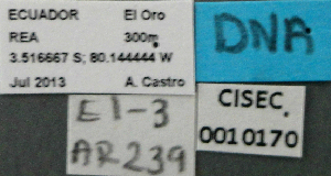  ( - BCAR239)  @11 [ ] CreativeCommons - Attribution (2015) David Donoso UTPL