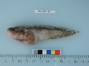  ( - BEAU2011-65)  @12 [ ] Copyright (2011) Catherine W. Mecklenburg Unspecified