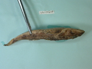  ( - UW150683)  @12 [ ] Copyright (2013) C. W. Mecklenburg Point Stephens Research