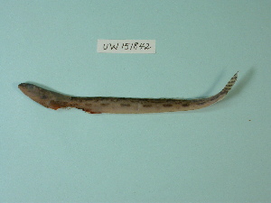  ( - UW151842)  @12 [ ] Copyright (2013) C. W. Mecklenburg Point Stephens Research