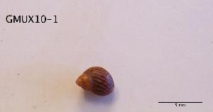  ( - DSGD144)  @12 [ ] Unspecified (default): All Rights Reserved  Unspecified Unspecified