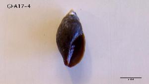  ( - DSGD156)  @12 [ ] Unspecified (default): All Rights Reserved  Unspecified Unspecified
