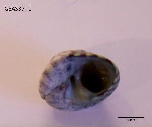  ( - DSGD43)  @12 [ ] Unspecified (default): All Rights Reserved  Unspecified Unspecified