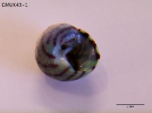  ( - DSGD47)  @12 [ ] Unspecified (default): All Rights Reserved  Unspecified Unspecified