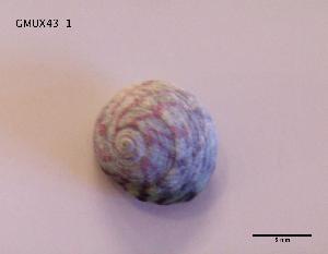  ( - DSGD47)  @12 [ ] Unspecified (default): All Rights Reserved  Unspecified Unspecified