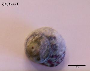  ( - DSGD59)  @12 [ ] Unspecified (default): All Rights Reserved  Unspecified Unspecified