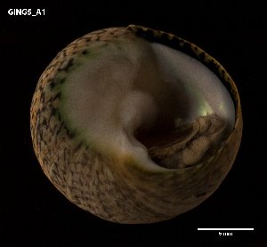  ( - DSG78)  @12 [ ] Copyright (2014) Bruno C.F. Ladeiro University of Aveiro and Centre for Environmental and Marine Studies, CESAM