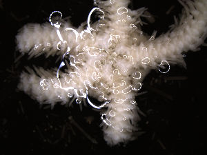  ( - PS77_211-7.28)  @12 [ ] CreativeCommons - Attribution Non-Commercial Share-Alike (2011) Chester Sands British Antarctic Survey