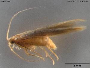  ( - BGPT_004_A01)  @11 [ ] Creative Commons Attribution NonCommercial ShareAlike (2025) (2025) Research Center in Biodiversity and Genetic Resources Research Center in Biodiversity and Genetic Resources