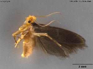  ( - BGPT_004_F02)  @11 [ ] Creative Commons Attribution NonCommercial ShareAlike (2025) (2025) Research Center in Biodiversity and Genetic Resources Research Center in Biodiversity and Genetic Resources