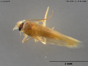  ( - BGPT_002_G08)  @11 [ ] Creative Commons Attribution NonCommercial ShareAlike (2025) (2025) Research Center in Biodiversity and Genetic Resources Research Center in Biodiversity and Genetic Resources