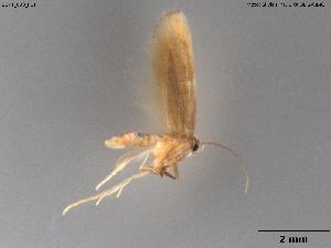  ( - BGPT_003_F11)  @11 [ ] Creative Commons Attribution NonCommercial ShareAlike (2025) (2025) Research Center in Biodiversity and Genetic Resources Research Center in Biodiversity and Genetic Resources