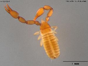  ( - BGPT_008_G10)  @11 [ ] Creative Commons Attribution NonCommercial ShareAlike (2025) (2025) Research Center in Biodiversity and Genetic Resources Research Center in Biodiversity and Genetic Resources