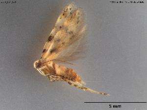  ( - BGPT_004_G10)  @11 [ ] Creative Commons Attribution NonCommercial ShareAlike (2025) (2025) Research Center in Biodiversity and Genetic Resources Research Center in Biodiversity and Genetic Resources