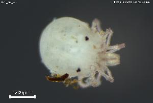  ( - BGPT_022_B07)  @11 [ ] Creative Commons Attribution NonCommercial ShareAlike (2025) (2025) Research Center in Biodiversity and Genetic Resources Research Center in Biodiversity and Genetic Resources