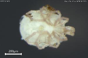  ( - BGPT_022_B07)  @11 [ ] Creative Commons Attribution NonCommercial ShareAlike (2025) (2025) Research Center in Biodiversity and Genetic Resources Research Center in Biodiversity and Genetic Resources