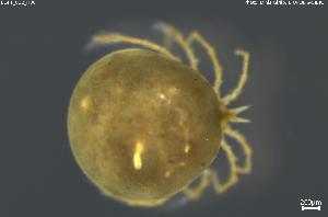  ( - BGPT_022_H06)  @11 [ ] Creative Commons Attribution NonCommercial ShareAlike (2025) (2025) Research Center in Biodiversity and Genetic Resources Research Center in Biodiversity and Genetic Resources